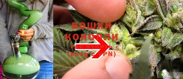 СК Россошь