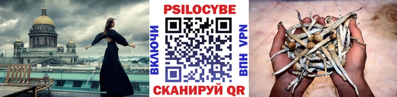 Псилоцибиновые грибы Psilocybine cubensis Купить где Новое Девяткино
