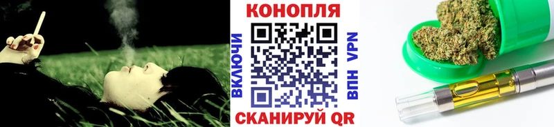 Купить закладки Новое Девяткино Бошки Шишки SATIVA & INDICA